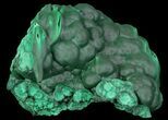 Botryoidal Malachite Crystal Formation - Congo #67462-1